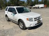 2010 Ford Escape Hybrid SUV - 2