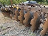 Disk Harrow - 13
