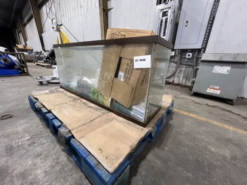 Aquarium W/Pumps