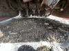 2016 Orec Cyclone Walk Behind Flail Mower - 9