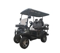2025 SDLANCH SDLGC80 Golf Cart