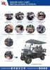 2025 SDLANCH SDLGC80 Golf Cart - 3