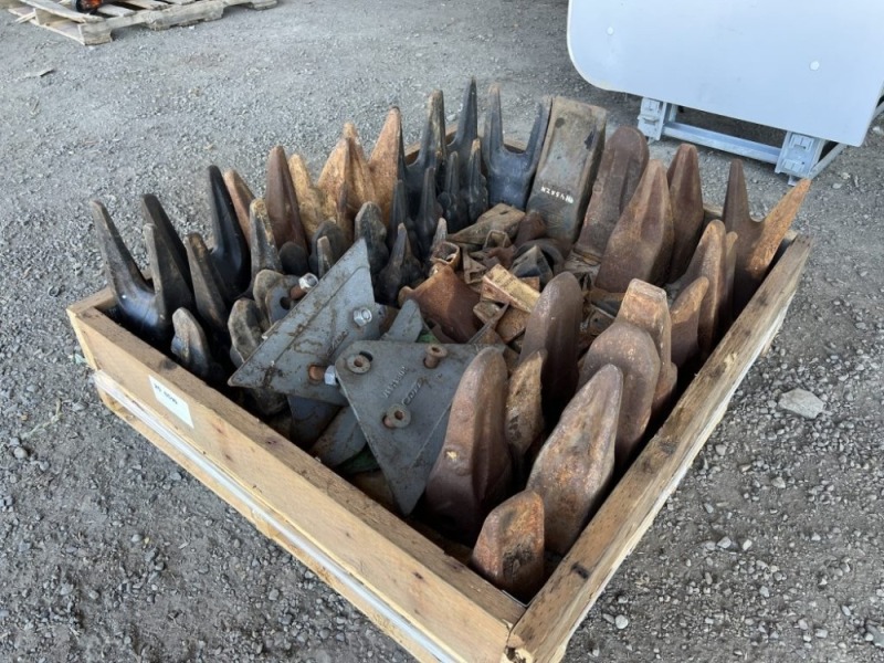Bucket Teeth & Sidecutters