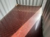 2025 11' 9" Storage Container - 7