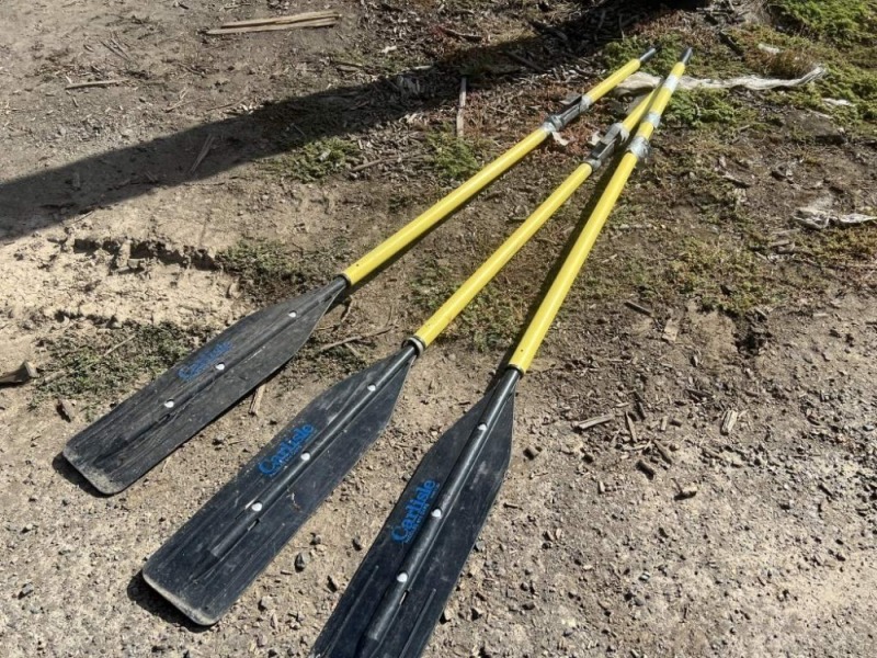 Carlisle Oars, Qty. 3