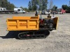 2025 SDLANCH SDLD25 Ride On Mini Crawler Dumper - 3