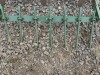 Pioneer Spring Tooth Harrow - 10