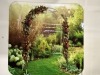 2025 White Metal Arbor Arch - 2