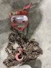 Coffing 2 Ton Chain Hoist