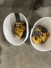 Harrington LB020 2 Ton Chain Hoist Qty 2 - 4