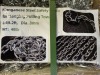 2025 Silver Manganese Steel Safety Chain - 2