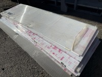 2025 Clear 2.25x8 Polycarbonate Panes Qty. 20