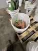 Coffing 2 Ton Chain Hoist - 3