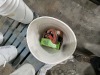 Coffing 2 Ton Chain Hoist - 2