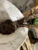 Coffing 2 Ton Chain Hoist - 2