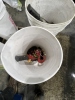 Jet & Coffing 3/4 Ton Chain Hoist, Qty 2 - 5