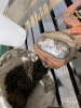 3 Ton Chain Hoist - 2