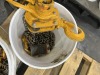 Harrington LB020 2 Ton Chain Hoist Qty 2 - 4