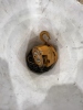 Harrington CF4 1/2 Ton Chain Hoist - 3