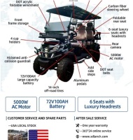 2025 SDLanch SDLGC100 Golf Cart