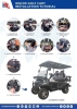 2025 SDLanch SDLGC80 Golf Cart - 3