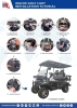 2025 SDLanch SDLGC80 Golf Cart - 3