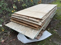 4' x 8' Plywood Boards