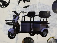 2025 IR IRGC40 Tricycle Golf Cart