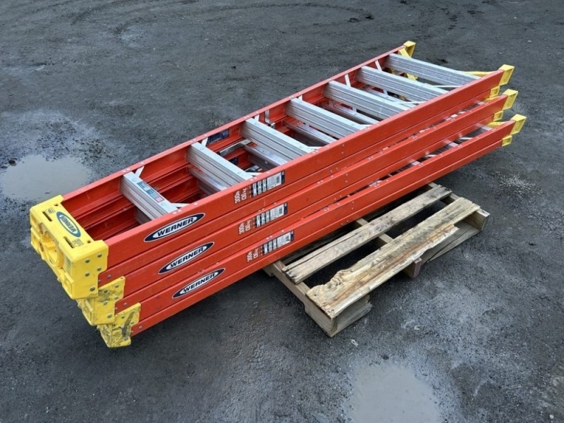 8' Werner Ladders, Qty. 3