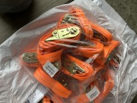 2025 SDLanch Ratchet Straps, Qty. 50