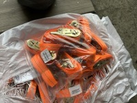 2025 SDLanch Ratchet Straps, Qty. 50