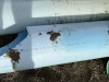 Assorted PVC Water Pipes - 5