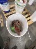 Coffing 2 Ton Chain Hoist - 2