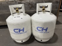 2025 EarthyGrounds 20lb Propane Tanks, Qty. 2