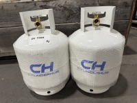2025 EarthyGrounds 20lb Propane Tanks, Qty. 2