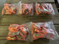 2025 SDLanch Ratchet Straps, Qty. 50
