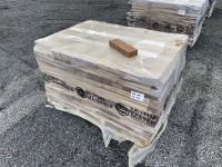 Chestnut Pavers, Qty. 468