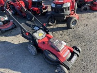 Craftsman 2xV20 Walk Behind Mower