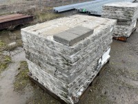 Step Stone Ashlar Summit Blend, Qty. 168