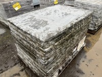 Step Stone Ashlar Summit Blend, Qty. 168