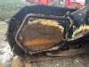 2017 Tigercat LX830D Feller Buncher - 17