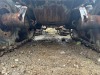 2013 TimberPro TF840-B Forwarder - 23