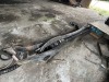 Timberjack Forwarder - 25