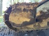 2013 John Deere 3754D Processor w/Waratah HTH624C - 11