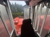 Madill 3800C Processor w/Waratah HTH624C - 37