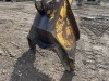 2006 Kobelco SK330 LC Processor - 19