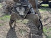 2002 John Deere 2054 Shovel Log Loader - 22