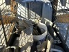 1999 Case 85XT Skidsteer Loader - 19