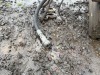 2004 Beall Quad-Axle Pup Trailer - 3