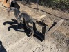 Caterpillar 5' Fork Attachment - 3